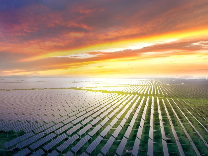 202MW 太阳能渔业发电厂，中国天津